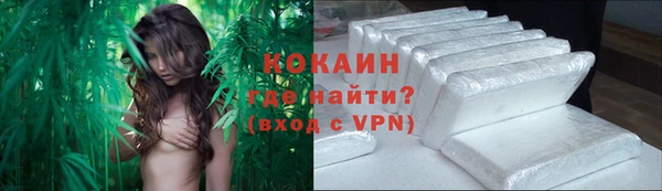 PSILOCYBIN Лабытнанги