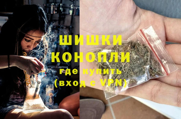 PSILOCYBIN Лабытнанги