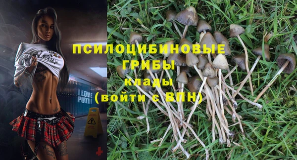 PSILOCYBIN Лабытнанги
