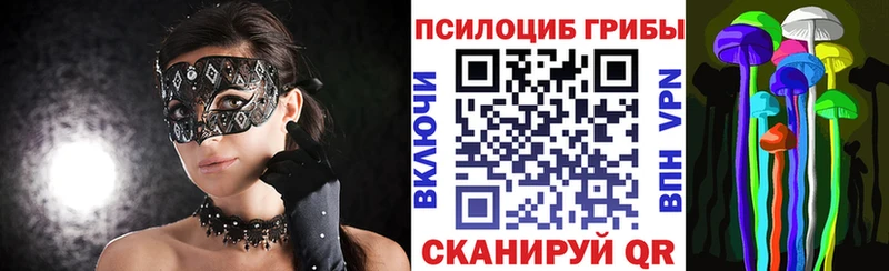 где продают blacksprut рабочий сайт Псилоцибиновые грибы Psilocybine cubensis Заволжск